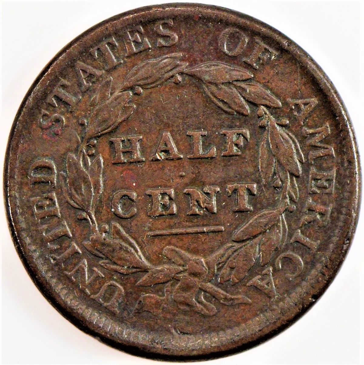 1809-Classic-Head-Half-Cent---Part-Deux